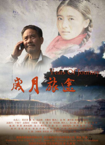 国产精品网站在线观看