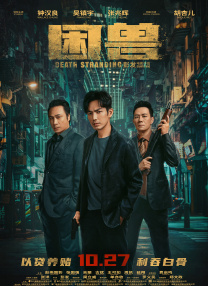 无风险9.1免费版安装动漫